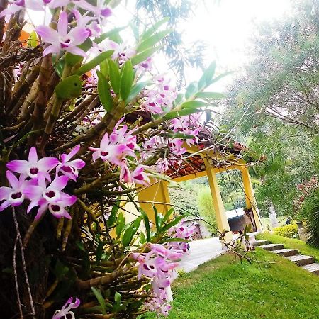 Casa Com Flores Pedra Azul  Zewnętrze zdjęcie